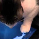 No, Your Cat Doesn't Need an iPad